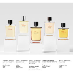 Terre d'Hermès Eau Intense Vetiver - Eau de Parfum Terre d'Hermès Eau Intense Vetiver - Eau de Parfum